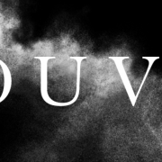 Chef de la plate-forme logistique (F/H)
